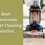 What is the Best Homemade Carpet Cleaning Solution