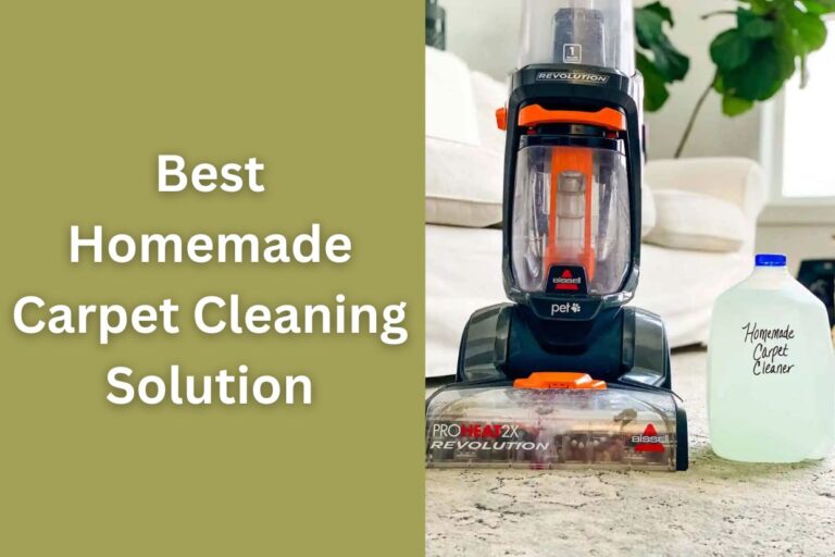 What is the Best Homemade Carpet Cleaning Solution