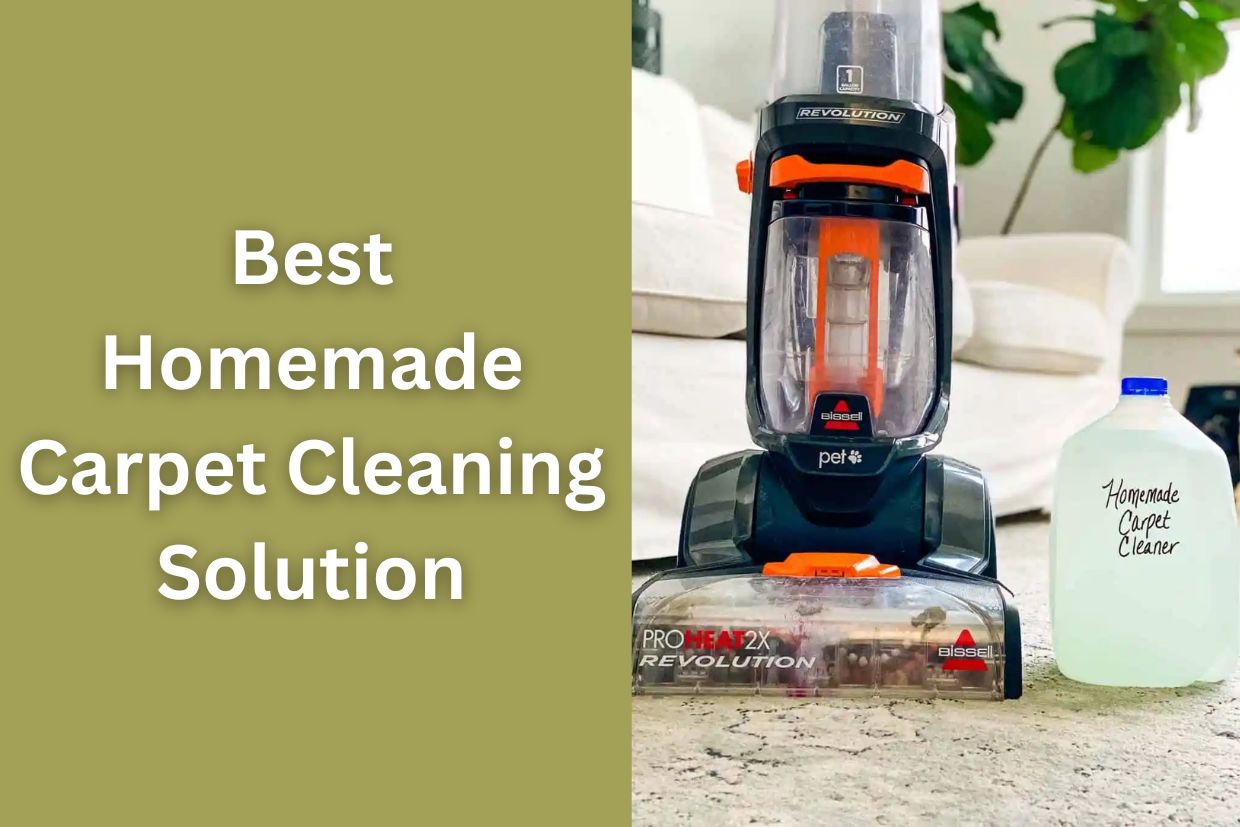 What is the Best Homemade Carpet Cleaning Solution