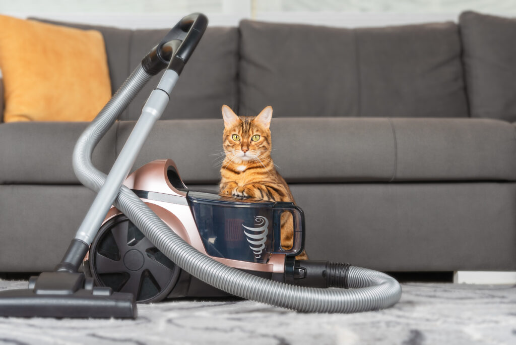 Key Considerations When Choosing a Vacuum for Pet Hair